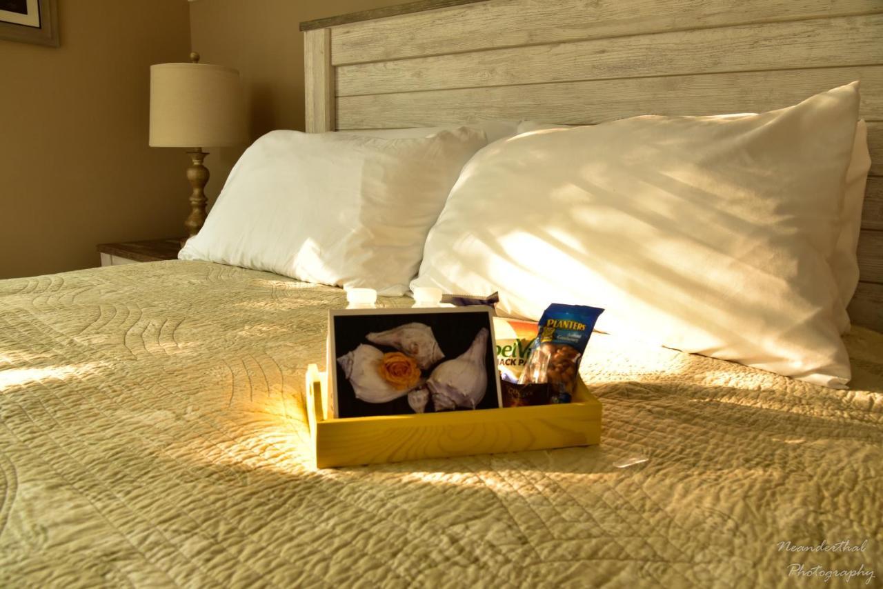 איסטון The Yellow Rose Of Talbot Bed And Breakfast מראה חיצוני תמונה
